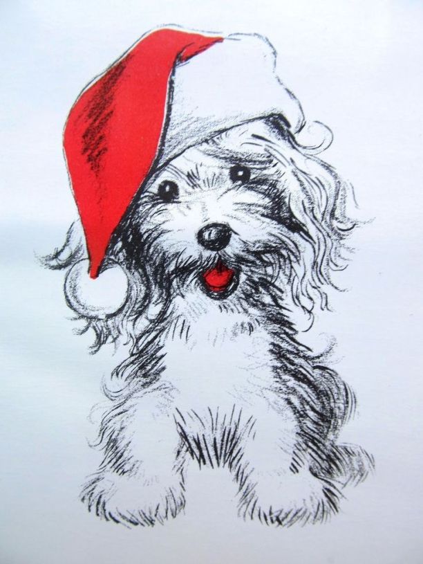 puppy in hat drawing