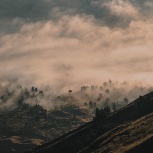 Fauna Mapping Landscape