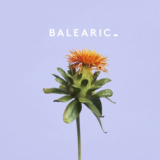 Miskotom—Sleeve—copy