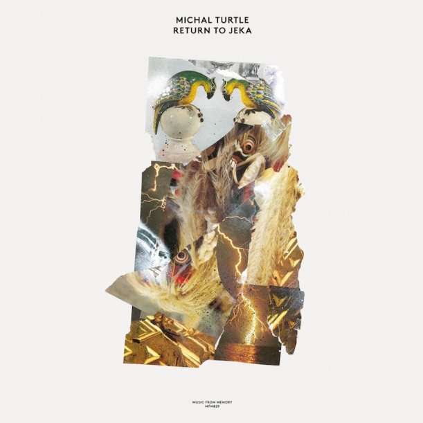 michal+turtle+artwork copy