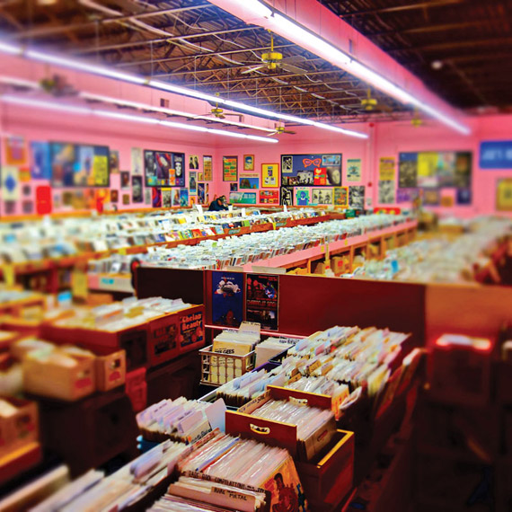 sol power Joes-Record-Paradise-TF-0014