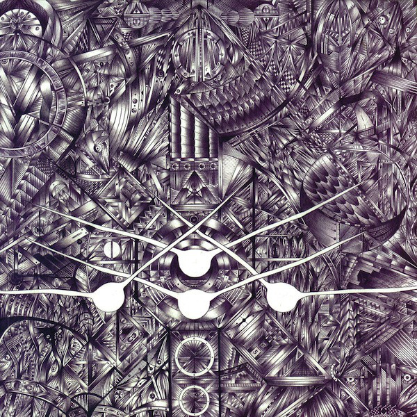 Andi Hanley coyote glide time