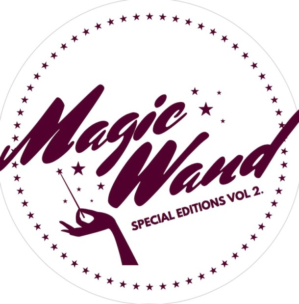 Andi Hanley Magic Wand copy