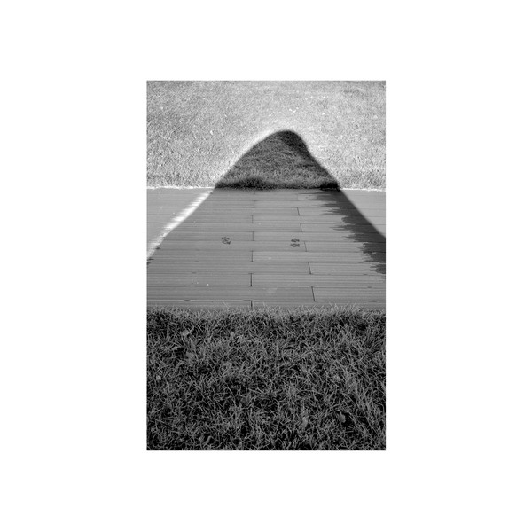 Free Level Blue Grass