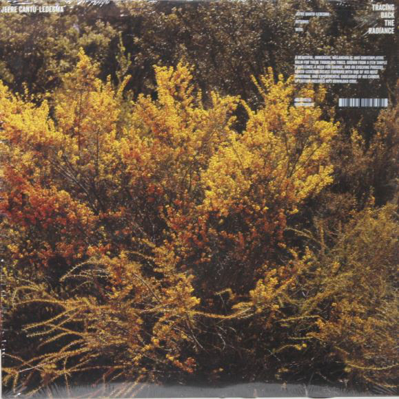 Jefre Cantu-Ledesma - Joy - Mexican Summer