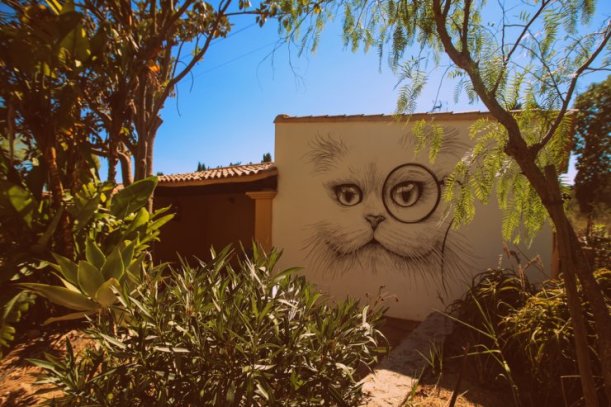 pikes ibiza cat mural copy
