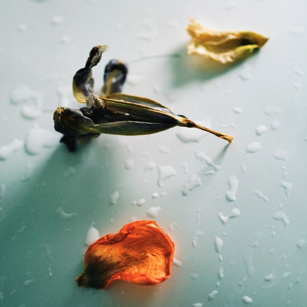 toshifumi hinata beyond belief art edit