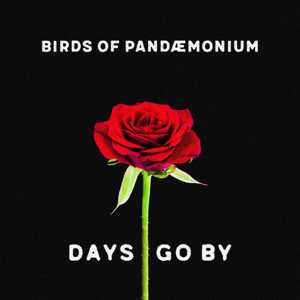 Birds Of Pandaemonium - Days Go By - A Separate Reality