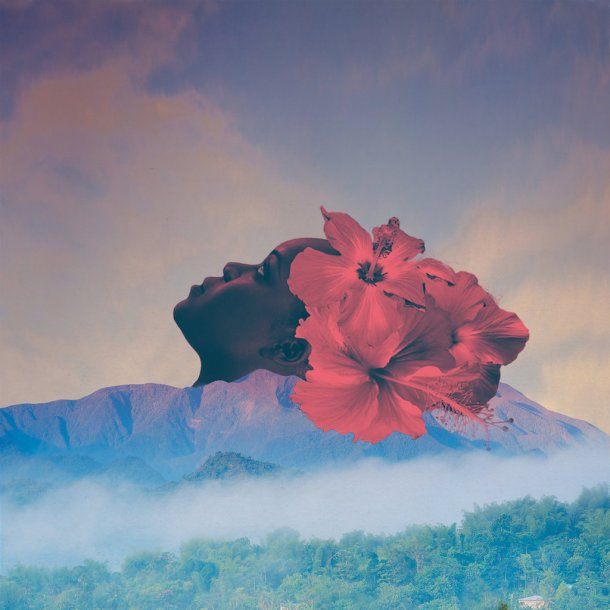 Zara McFarlane - Future Echoes - Brownswood Recordings