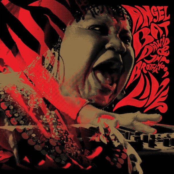 Angel Bat Dawid Live