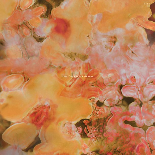 Jonny Nash Teguh Permana - Poe