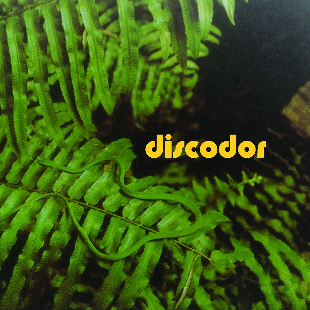 Discodor