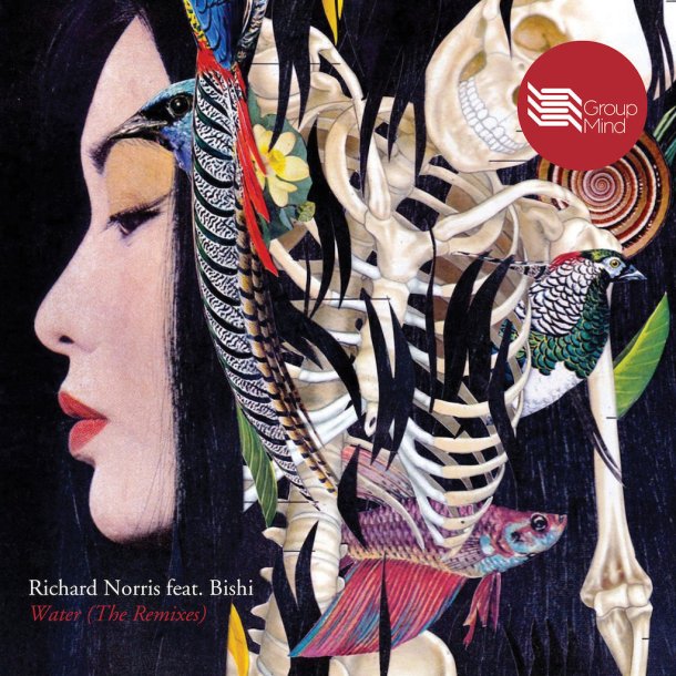 Richard Norris Water Remixes