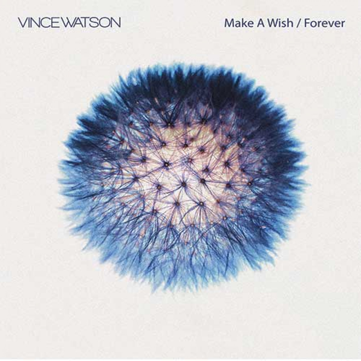Vince Watson Make A Wish