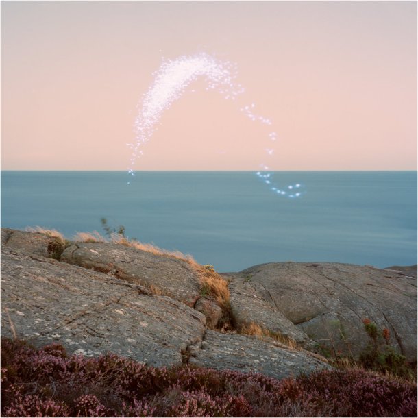 Cassandra Jenkins : An Overview Of Phenomenal Nature