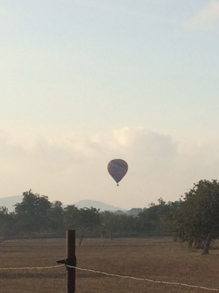 CHRIS ENGLISH IMAGE 1