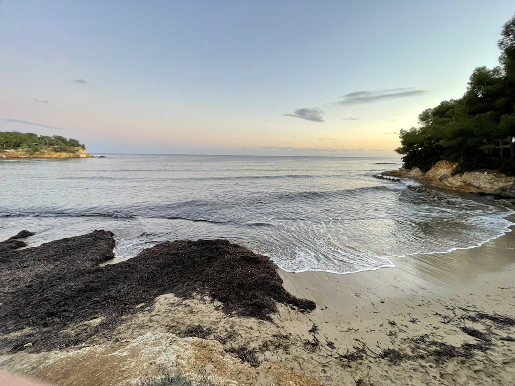 CHRIS ENGLISH IMAGE 4