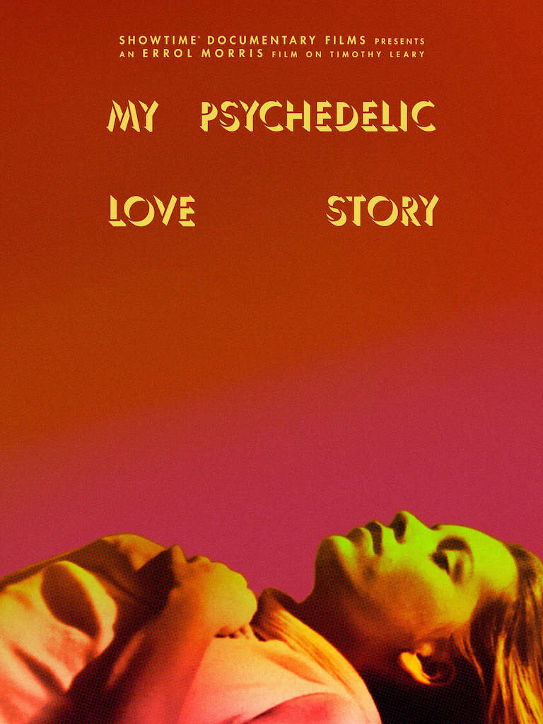 My Psychedelic Love Story Poster
