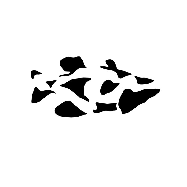 Marina Trench Deeply Rooted