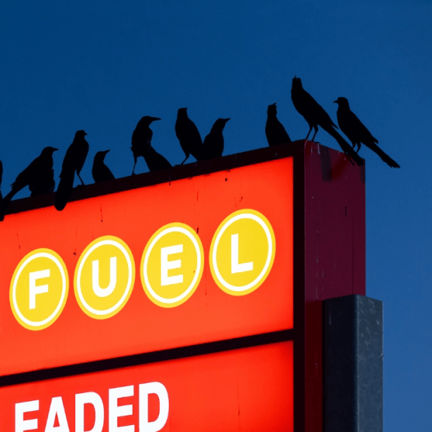 The Insider Nebraska