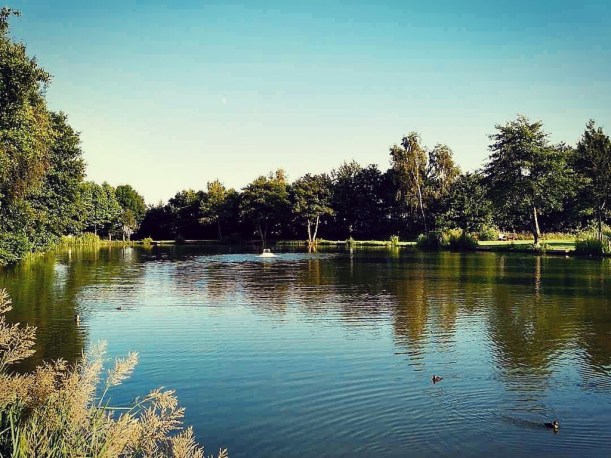 Rotation Garden Party 2022_1 copy