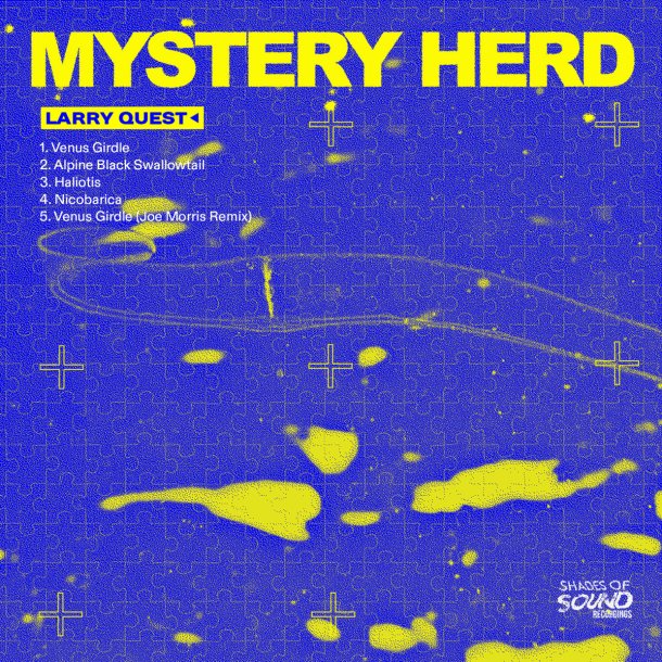 LARRY QUEST MYSTERY HEARD