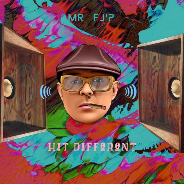 MR FLIP HIT DIFFERENT