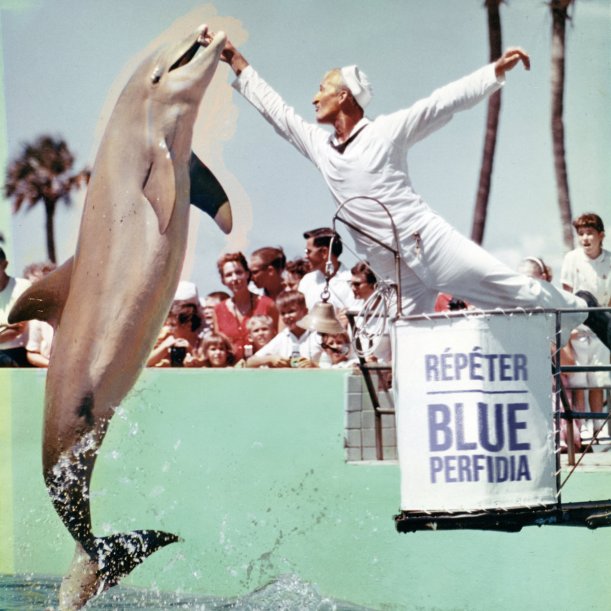 Repeter - Blue Perfidia