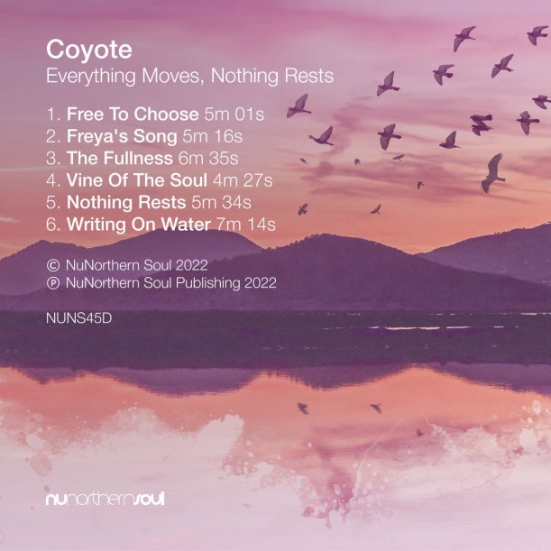 Coyote - Everything Moves, Nothing Rests