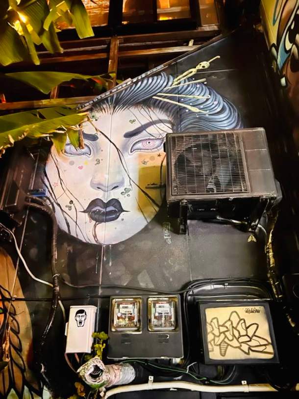 jon sa trinxa bonobo