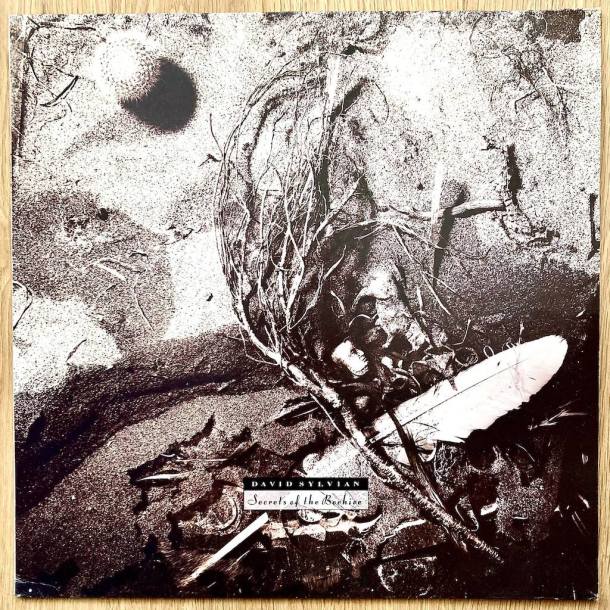 Balearic Mike Secrets Of The Beehive