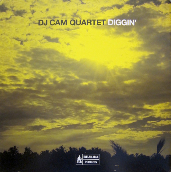 DJ Cam Quartet : Think Twice