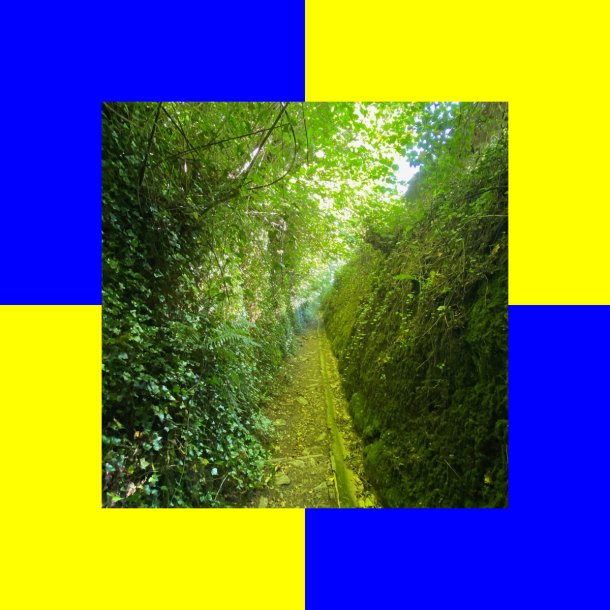 Cameo Blush - Silkworm