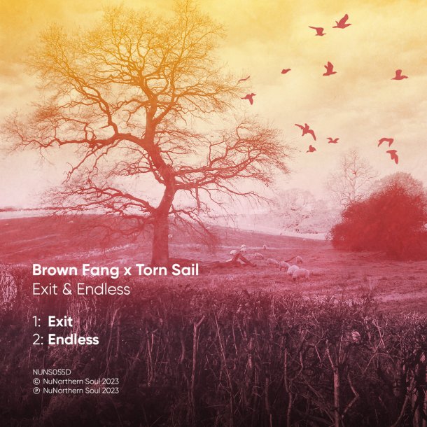 BROWN FANG X TORN SAIL : EXIT &amp; ENDLESS