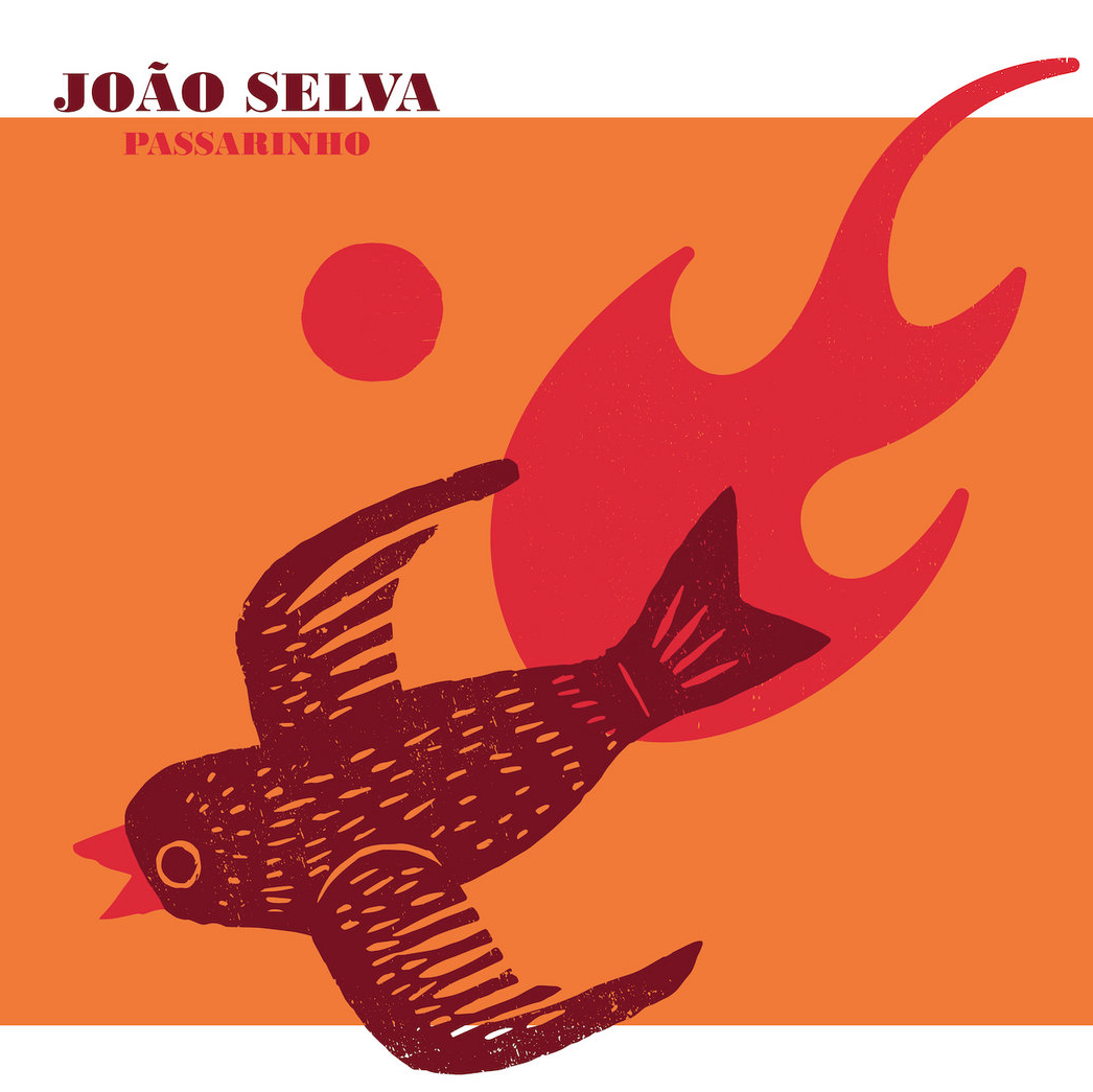 Joao Selva 4