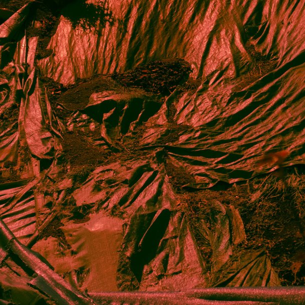 TUJIKO NORIKO : CREPUSCLE