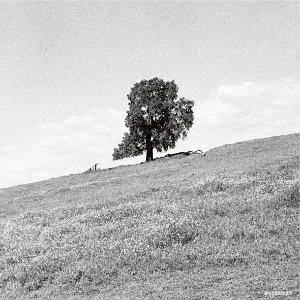 Blank Gloss Cornered Edit