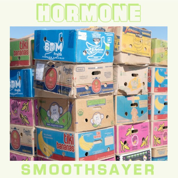 Hormone Smoothsayer