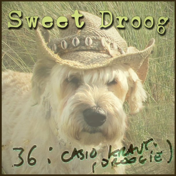 NINA WALSH : SWEET DROOG