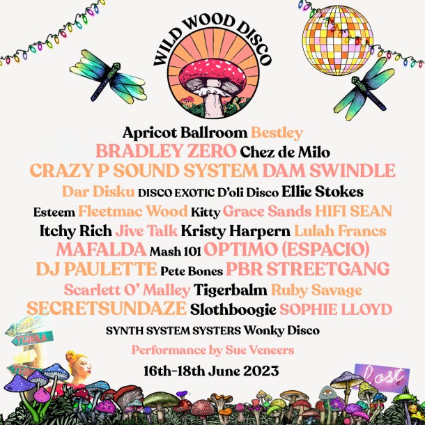 Copy of wild wood disco Festival-2023
