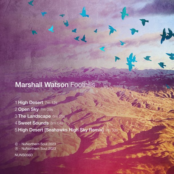 MARSHALL WATSON : FOOTHILLS