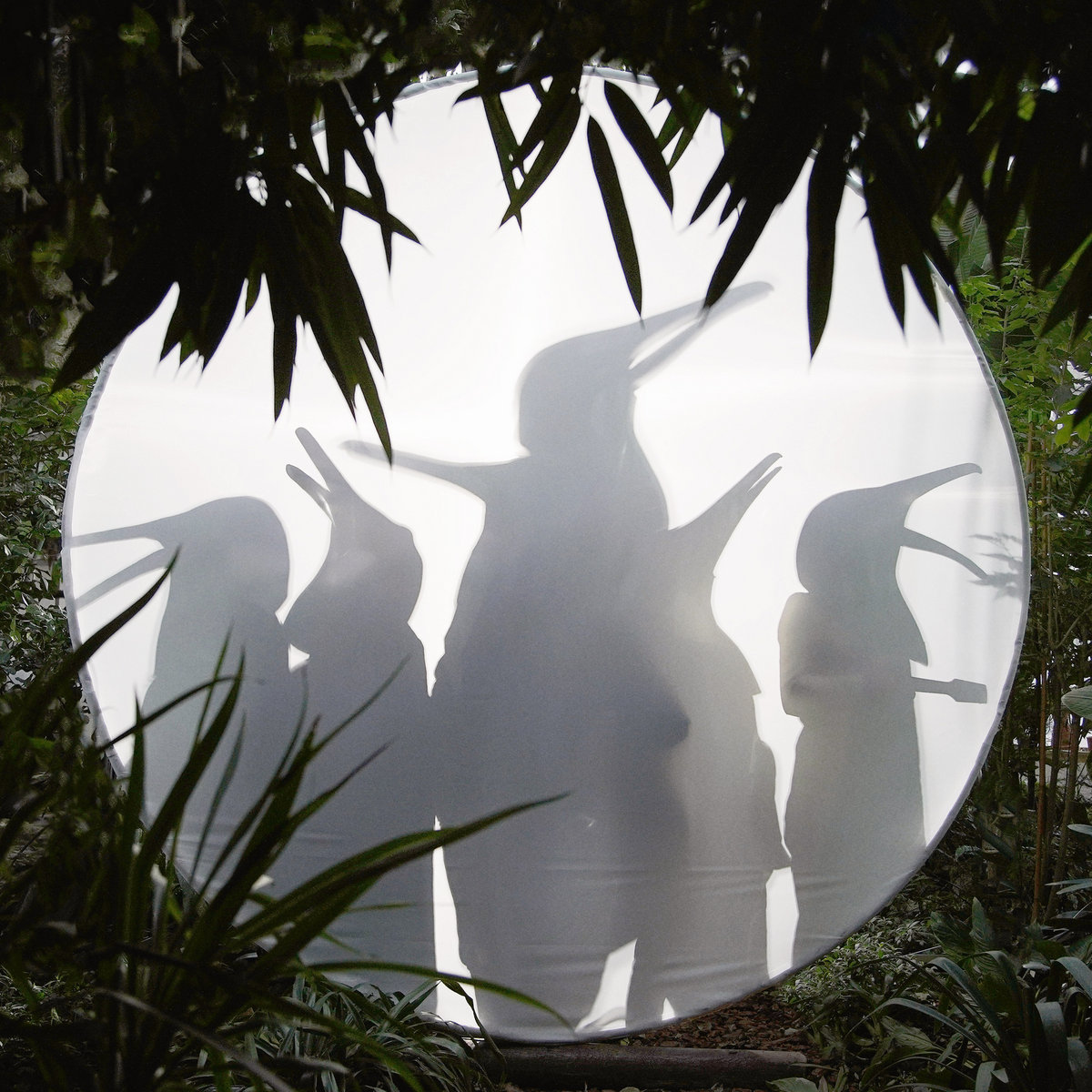 PENGUIN CAFE : RAIN BEFORE SEVEN