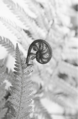 Relativiteit Van de Omgeving_1