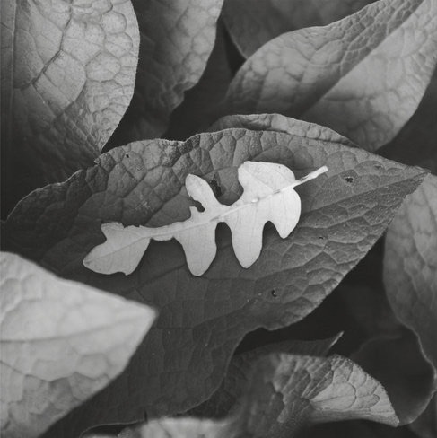 Relativiteit Van de Omgeving_2