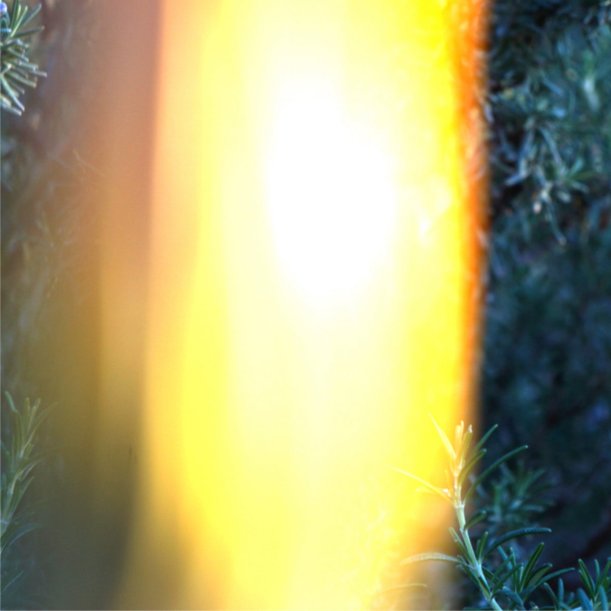 Shelf Nunny X IKSRE An Open Book