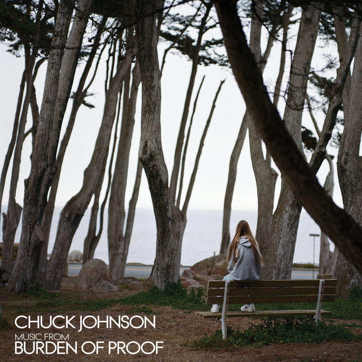 Chuck Johnson : Music From Burden Of Proof