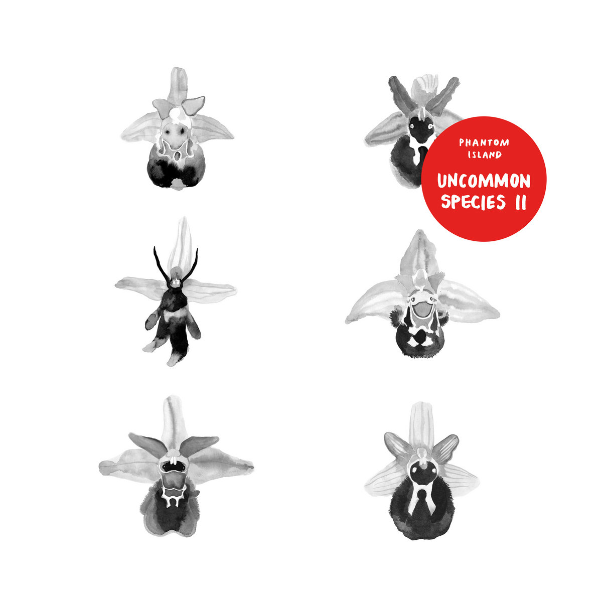 Phantom Island : Uncommon Species II