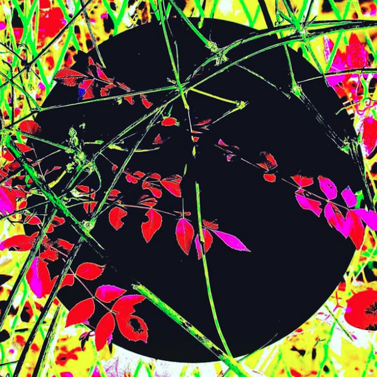 Richard Norris Music for Healing - Equinox 7