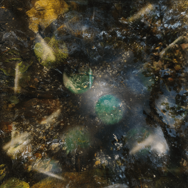 Green-House - Green-House - A Host for All Kinds of Life - Art