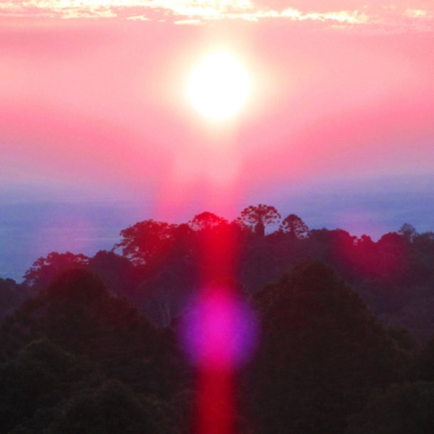 Grouper - Paradise Valley